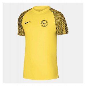 Nike Academy Short Sleeve Jersey Tour Yellow-Black-Black