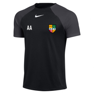 Nike Academy Pro Short Sleeve Tee