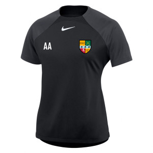 Nike Womens Academy Pro Short Sleeve Tee (W)