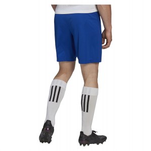 adidas Entrada 22 Shorts