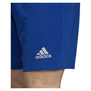 adidas Entrada 22 Shorts