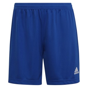 adidas Womens Entrada 22 Shorts (W)