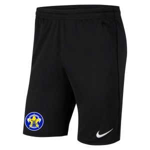 Nike Park 20 Pocketed Shorts (M)