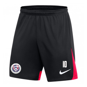 Nike Dri-FIT Academy Pro Shorts