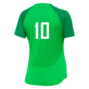 Nike Womens Academy Pro Short Sleeve Tee (W)