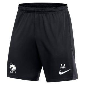 Nike Dri-FIT Academy Pro Shorts