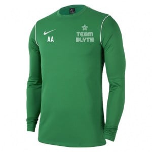 Nike Dri-FIT Park 20 Crew Top Pine Green-White-White