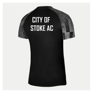 Nike Academy Short Sleeve Jersey