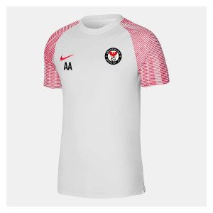 Nike Academy Short Sleeve Jersey