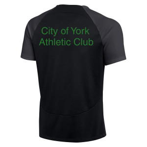 Nike Academy Pro Short Sleeve Tee