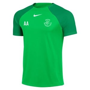 Nike Academy Pro Short-Sleeve Tee