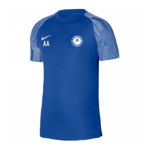 Nike Academy Short Sleeve Jersey Royal Blue-White-White