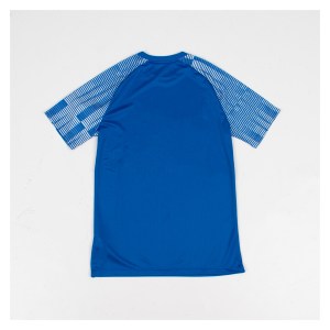 Nike Academy Short Sleeve Jersey Royal Blue-White-White