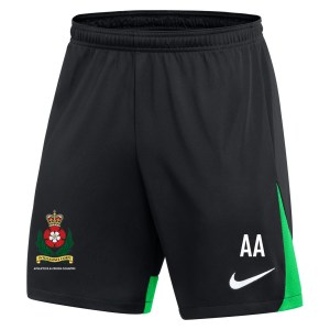 Nike Dri-FIT Academy Pro Shorts