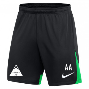 Nike Dri-FIT Academy Pro Shorts