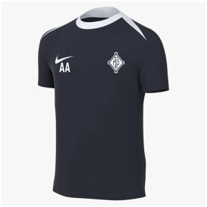 Nike Academy Pro 24 Dri-FIT Short Sleeve Top