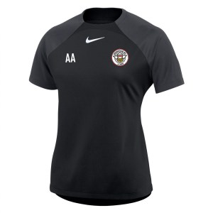 Nike Womens Academy Pro Short Sleeve Tee (W)