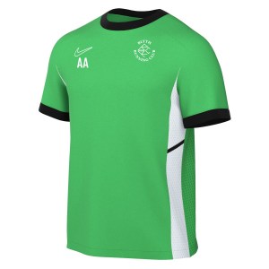 Nike Academy 25 Short-Sleeve Training Top - Green Spark/Lucky Green/White