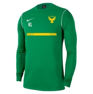 Nike Dri-FIT Park 20 Crew Top - Pine Green/White/White