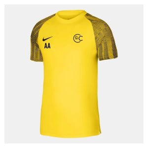 Nike Academy Short Sleeve Jersey - Tour Yellow/Black/Black