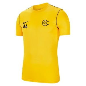 Nike Park 20 Short Sleeve Training Tee - Tour Yellow/Black/Black