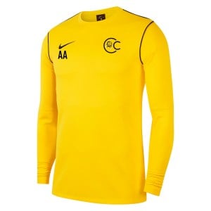 Nike Dri-FIT Park 20 Crew Top - Tour Yellow/Black/Black