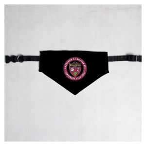 Pet Bandana with Black Collar