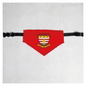 Pet Bandana with Black Collar