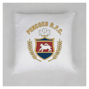Cushion