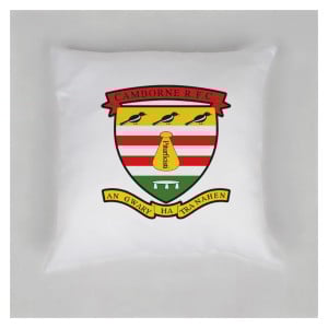 Cushion
