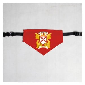 Kitlocker-Merchandise Pet Bandana with Black Collar - CUSTOMISED