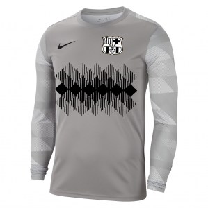 Nike Park IV Goalkeeper Dri-FIT Jersey Pewter Grey-White-Black