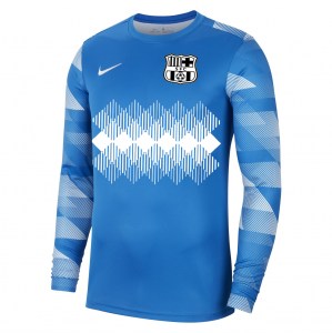 Nike Park IV Goalkeeper Dri-FIT Jersey