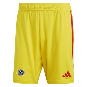 adidas Tiro 23 Shorts