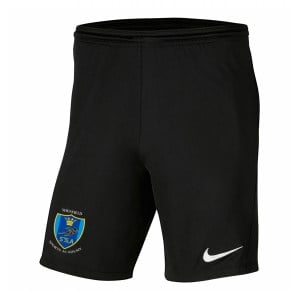 Nike Park III Shorts