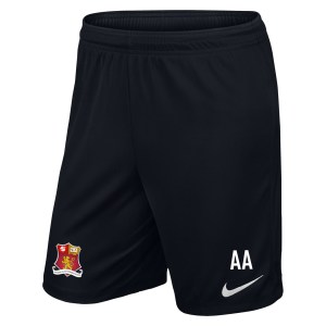 Nike Dri-fit Park III Shorts