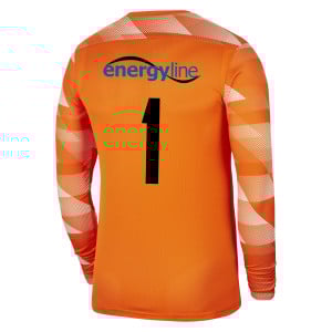 Nike Park IV Goalkeeper Dri-FIT Jersey