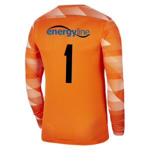 Nike Park IV Goalkeeper Dri-FIT Jersey