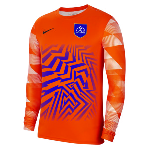 Nike Park IV Goalkeeper Dri-FIT Jersey