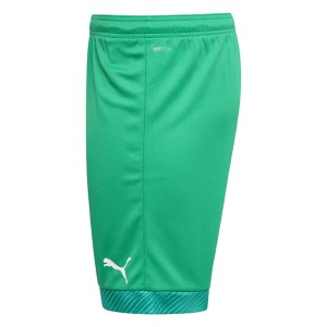 Puma Cup Goalkeeper Shorts