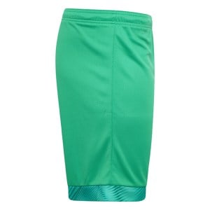 Puma Cup Goalkeeper Shorts