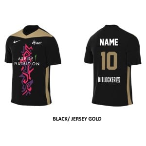 Nike Park Derby IV Dri-FIT Short Sleeve Shirt - Black/Jersey Gold/White