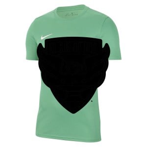 Nike Park VII Dri-FIT Short Sleeve Shirt - Pine Green/White