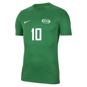 Nike Park VII Dri-FIT Short Sleeve Shirt Pine Green-White