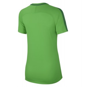 Nike Womens Academy 18 Short Sleeve Top (w) Lt Green Spark-Pine Green-White