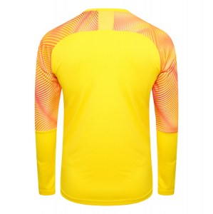 Puma Cup Goalkeeper Jersey