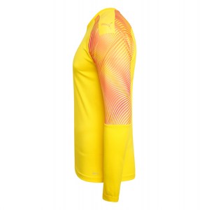 Puma Cup Goalkeeper Jersey