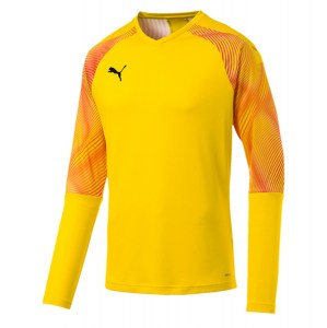 Puma Cup Goalkeeper Jersey