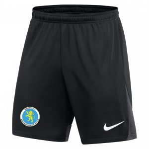 Nike Dri-FIT Academy Pro Shorts Black-Anthracite-White