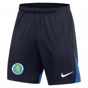 Nike Dri-FIT Academy Pro Shorts